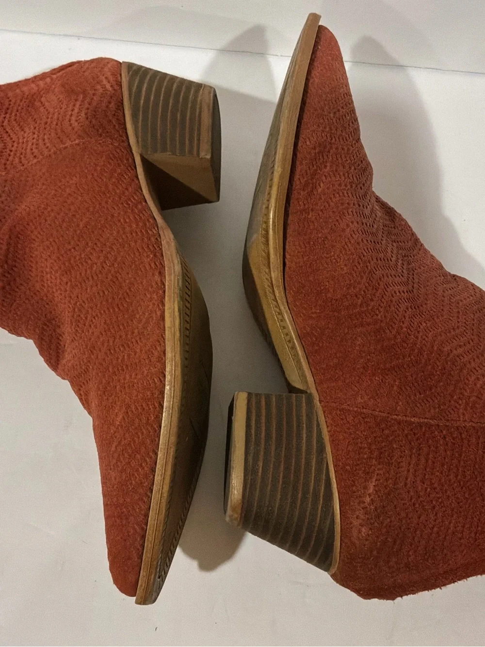 Dingo comfortable rust